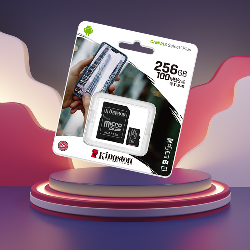 Tarjeta Micro SD Kingston Canva Select Plus 256GB